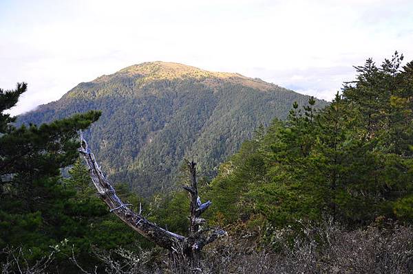 回望布干山