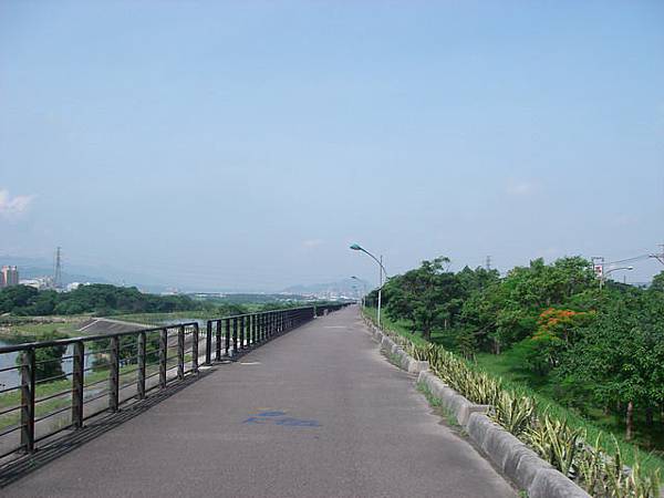 樹林環河道路的自行車道