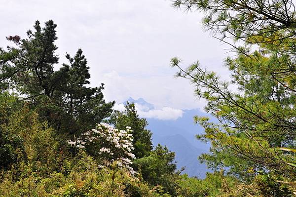 遠方的玉山