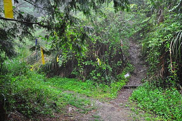 林道上鹿屈山登山口