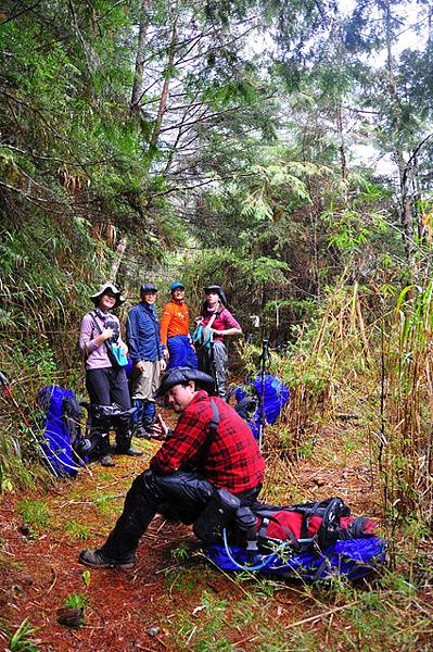 中平林道44K登山口