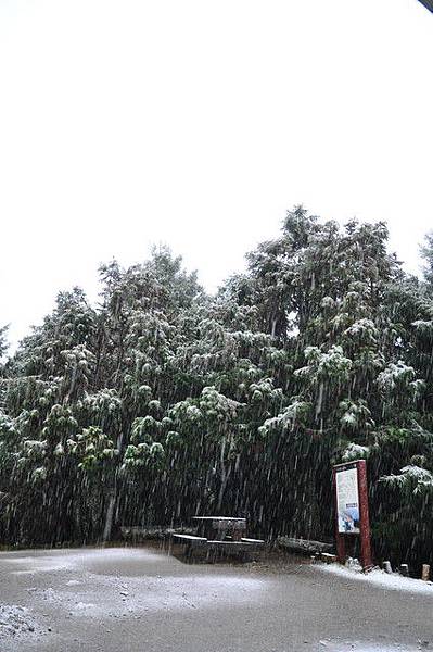 這是五年來最好的雪況