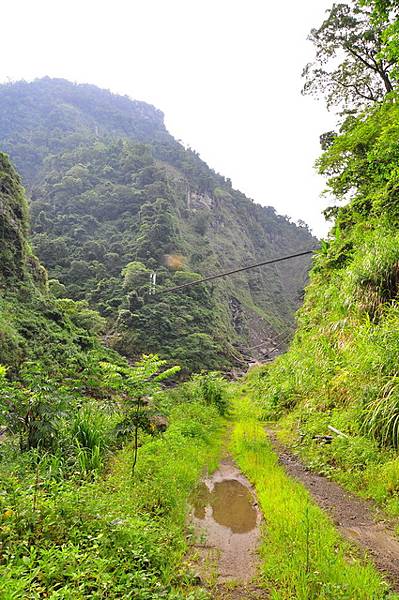 遠方的行豐吊橋