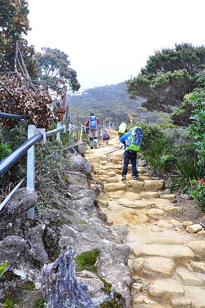 路就是那麼大條