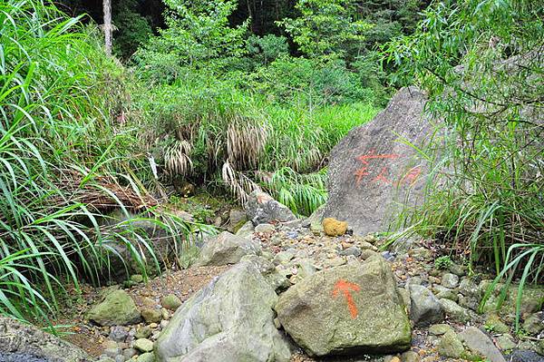 回程過大石溪谷後往千人洞叉路