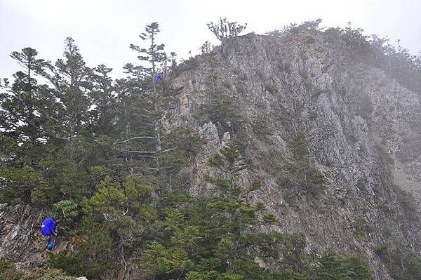 上山頭後就可看見山屋