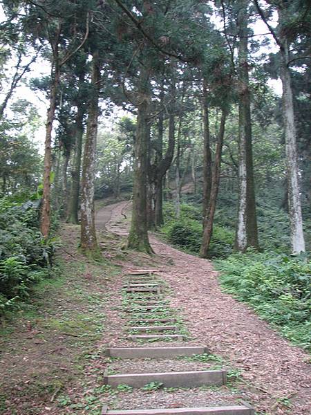 接至步道