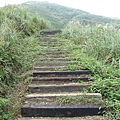 快上草山產業道路前的枕木步道