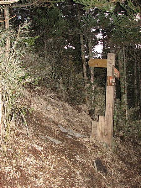 向陽山第二登山口