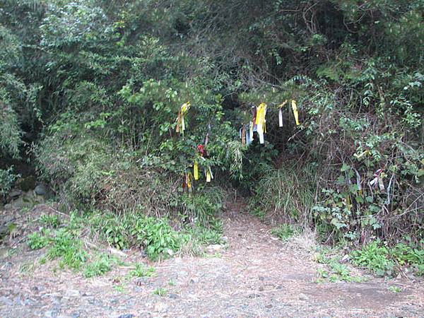 32K路左郡大山登山口