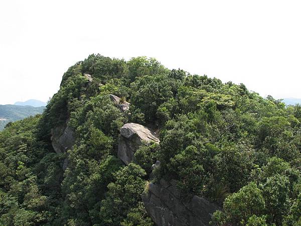 不遠的新山