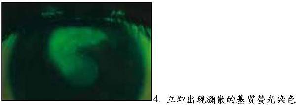 D4 D4