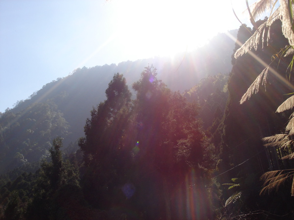 就像陽光普照在大地