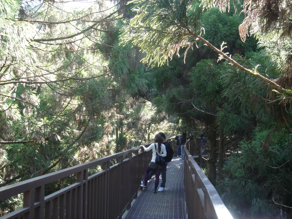 步道會小搖晃