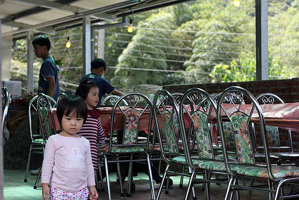 中餐用餐餐廳