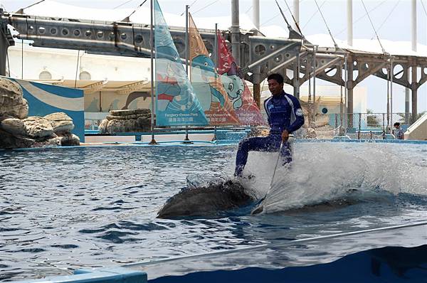 遠雄海洋公園，海豚表演