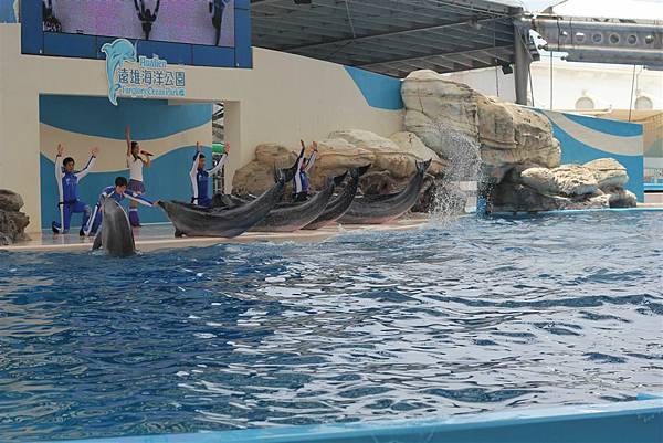 遠雄海洋公園，海豚表演