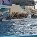 遠雄海洋公園，海豚表演