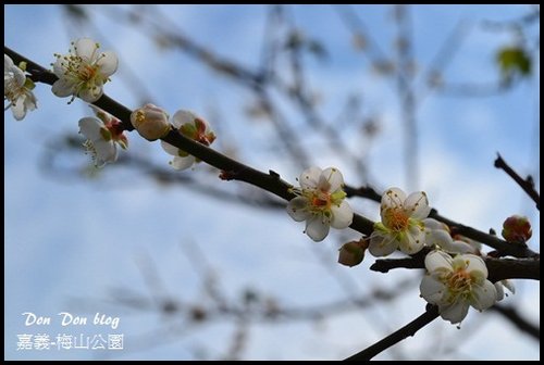 嘉義梅山公園(32).jpg