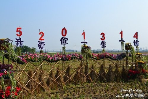 2012嘉義花海節(17).jpg