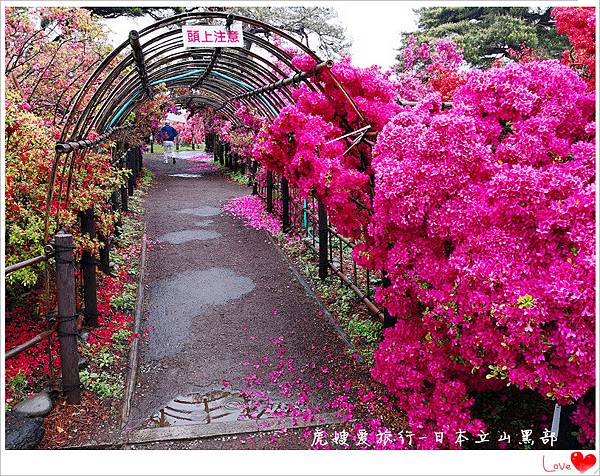 18日本北陸之旅 黑部立山day2 館林杜鵑公園 足利公園 浪漫紫藤花 輕井澤銀座通 輕井澤溫泉 美國cnn評選為世界10大夢幻旅遊景點 我來了 虎嫂愛旅行 痞客邦