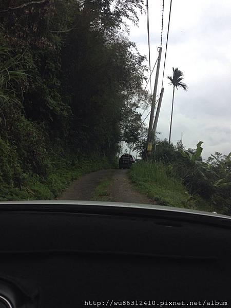 露營 第四十五露苗栗縣泰安鄉 豐之優露營區與好友的簡單露2017 7 22 23 雪花台湾