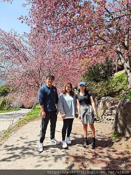 （露營／車泊）第87露-司馬庫斯舊部落營地(114.3.8-