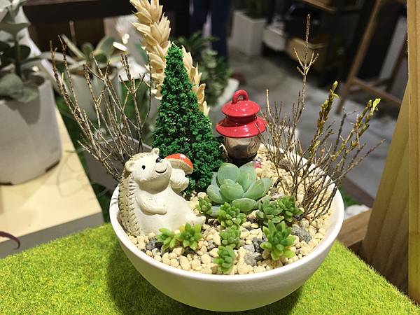 有肉Succulent&Gift58.jpg