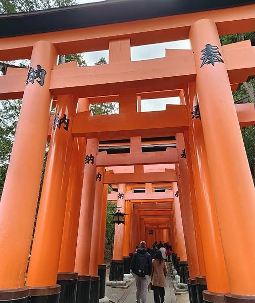 114.01.15.第四天.京都.伏見稻荷.三鳩亭.中村藤吉