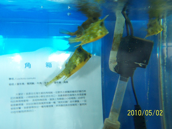 2010050213.jpg