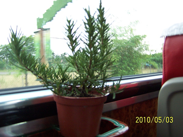 2010050353.jpg