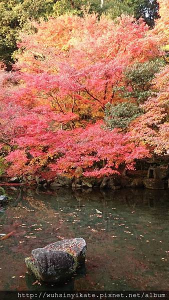 蓮華寺 蓮華寺