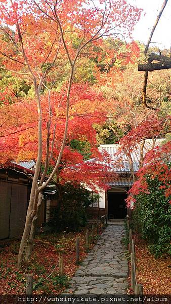 蓮華寺 入口小徑 蓮華寺 入口小徑