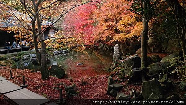蓮華寺 庭園 蓮華寺 庭園