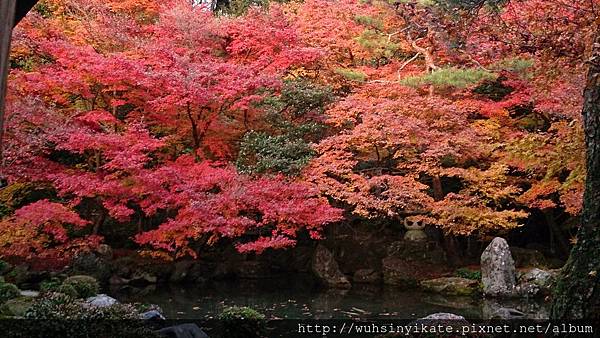 蓮華寺 庭園 蓮華寺 庭園