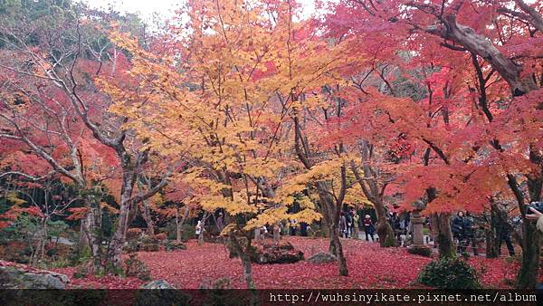 瑞嚴山 圓光寺 瑞嚴山 圓光寺
