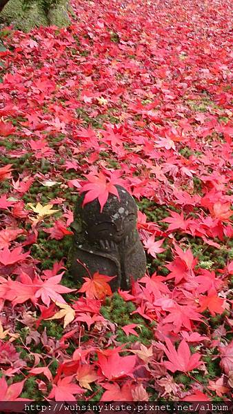 瑞嚴山 圓光寺 瑞嚴山 圓光寺
