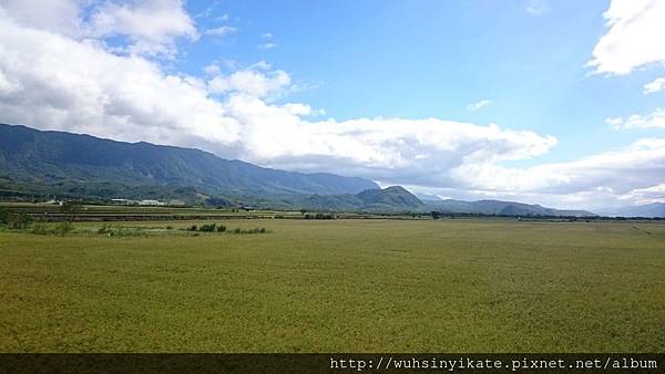 池上秋日稻田 池上秋日稻田