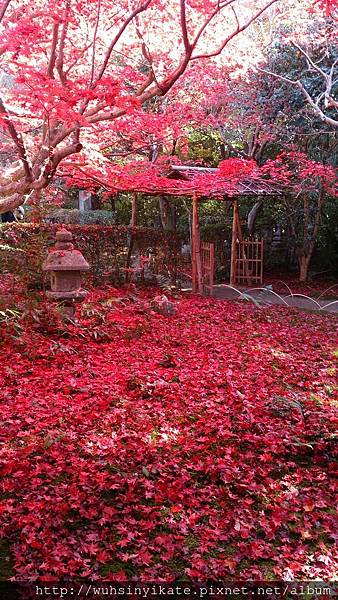 厭離庵 厭離庵