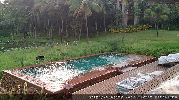 Four Seasons Resort Chiang Mai 泳池就在農田中間 Four Seasons Resort Chiang Mai 泳池就在農田中間