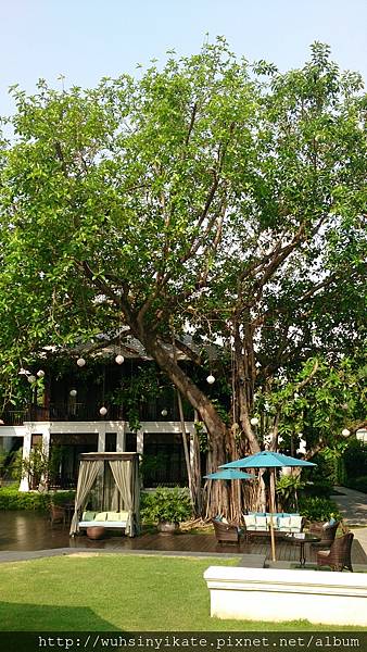 137 Pillars House 中庭 137 Pillars House 中庭
