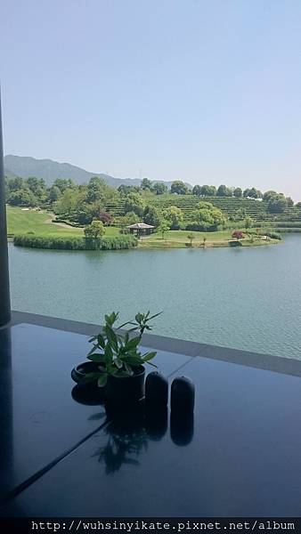 春春山居 湖廊居 往外望的人工湖與茶園景色 春春山居 湖廊居 往外望的人工湖與茶園景色