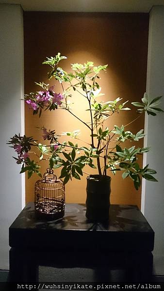 富春山居 館內花藝目前與CNFlower現任總監凌宗湧合作 富春山居 館內花藝目前與CNFlower現任總監凌宗湧合作
