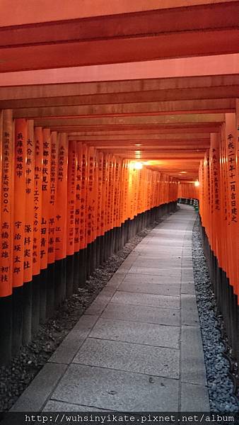 伏見稻禾大社 鳥居群 伏見稻禾大社 鳥居群