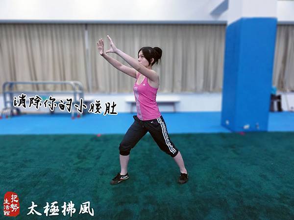 太極拂風-6 太極拂風-6