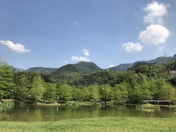 20170429雲水森林_127.jpg