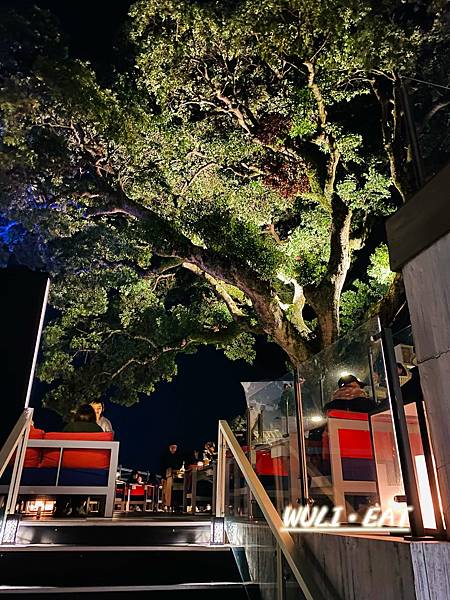 IMG_3701.JPG IMG_3701.JPG