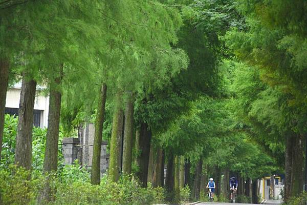 37-10號筆記-空性禪修3-5 菩薩