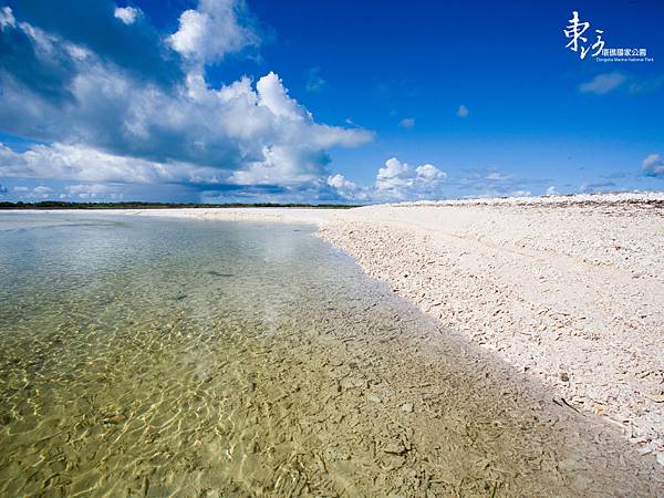 東沙岸邊風光.jpg