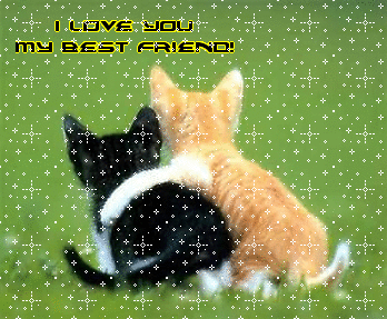 kitten-i-love-you-my-best-friend.gif
